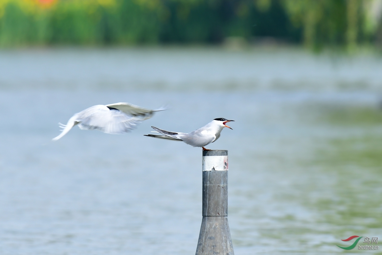 ��ͨ��Ÿ Ÿ����Ÿ ������ (41).JPG