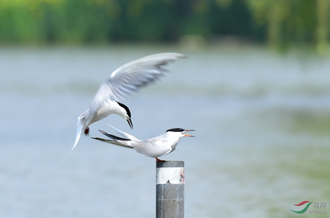 ��ͨ��Ÿ Ÿ����Ÿ ������ (43).JPG