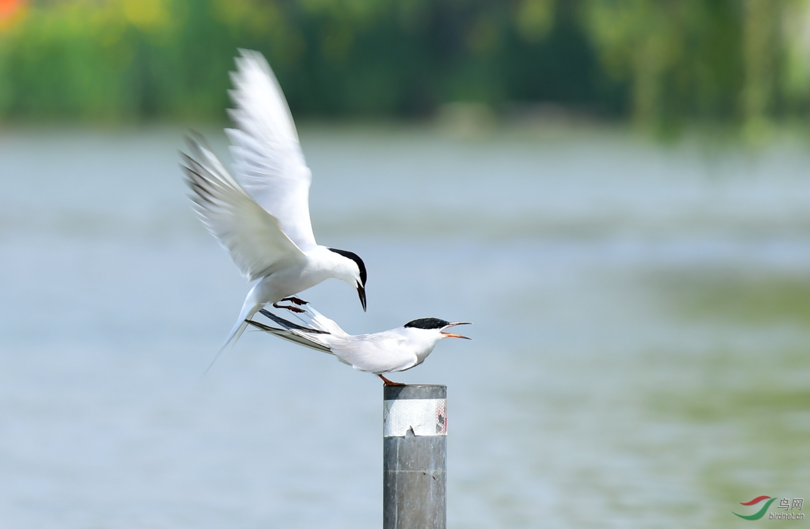 ��ͨ��Ÿ Ÿ����Ÿ ������ (44).JPG