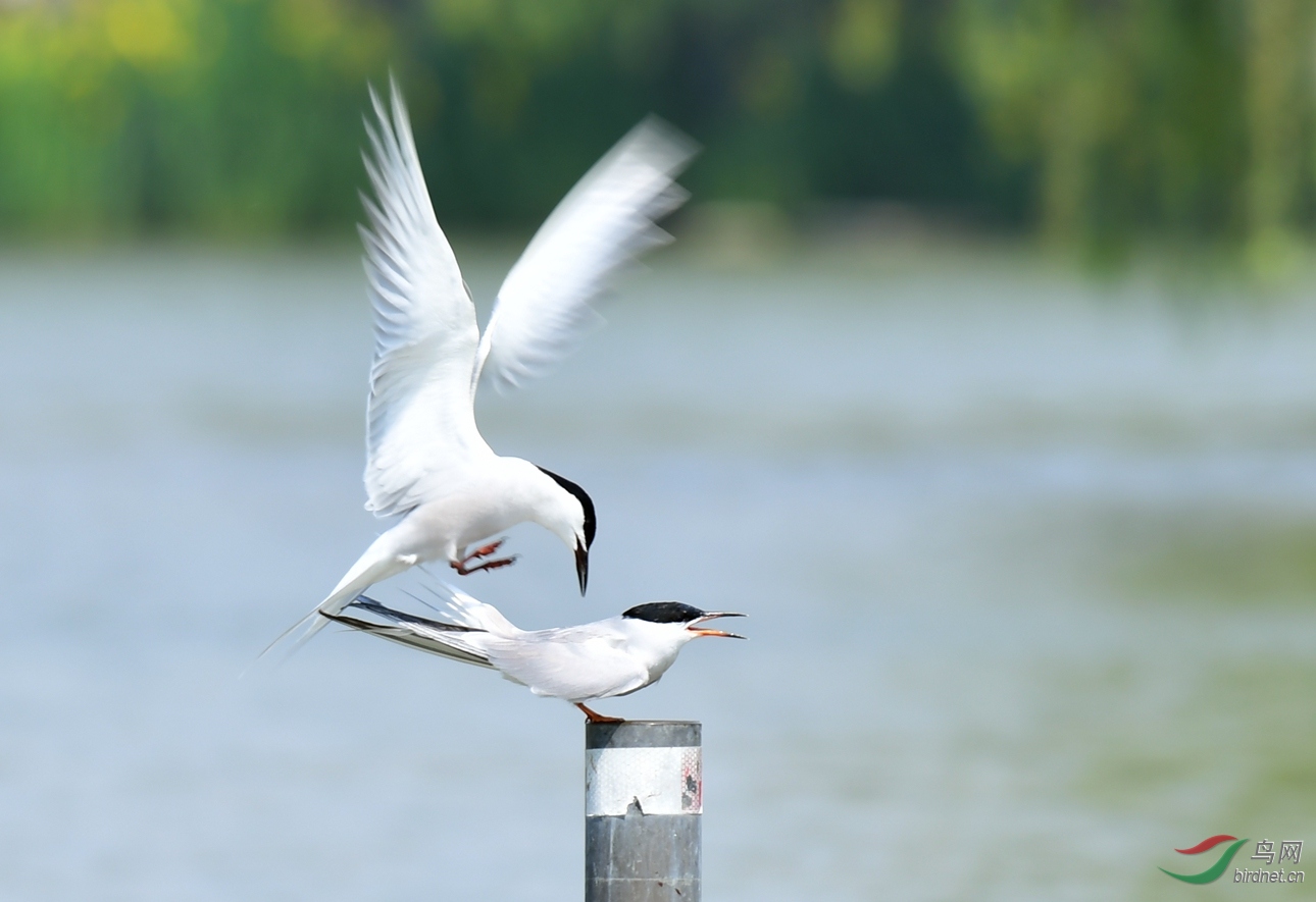 ��ͨ��Ÿ Ÿ����Ÿ ������ (45).JPG