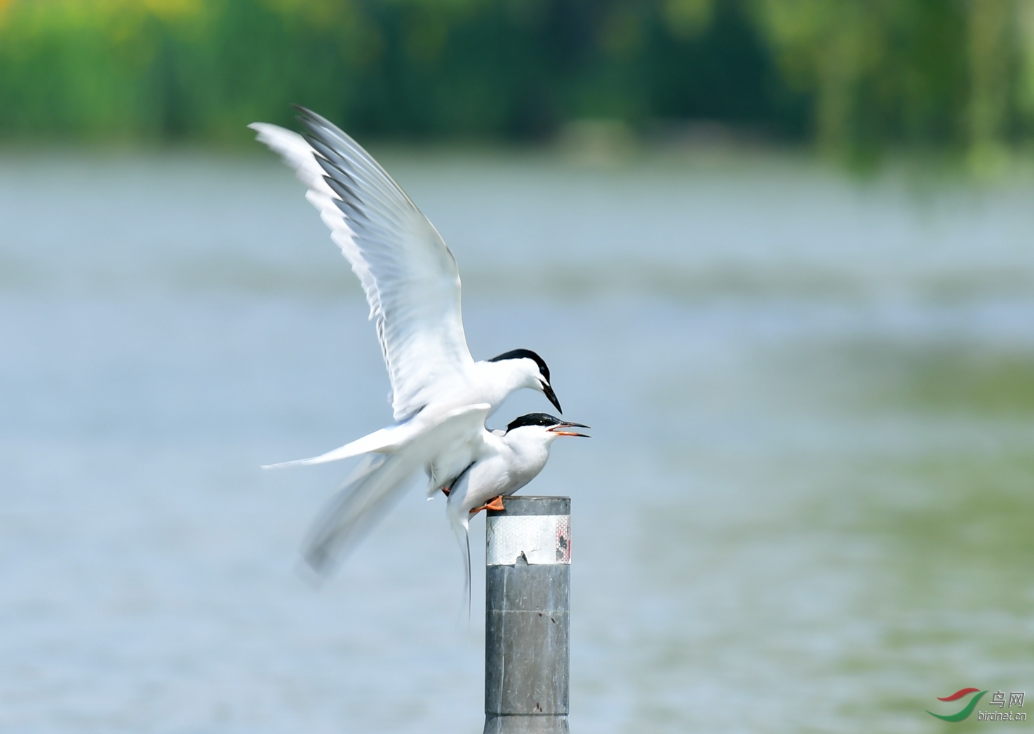 ��ͨ��Ÿ Ÿ����Ÿ ������ (47).JPG