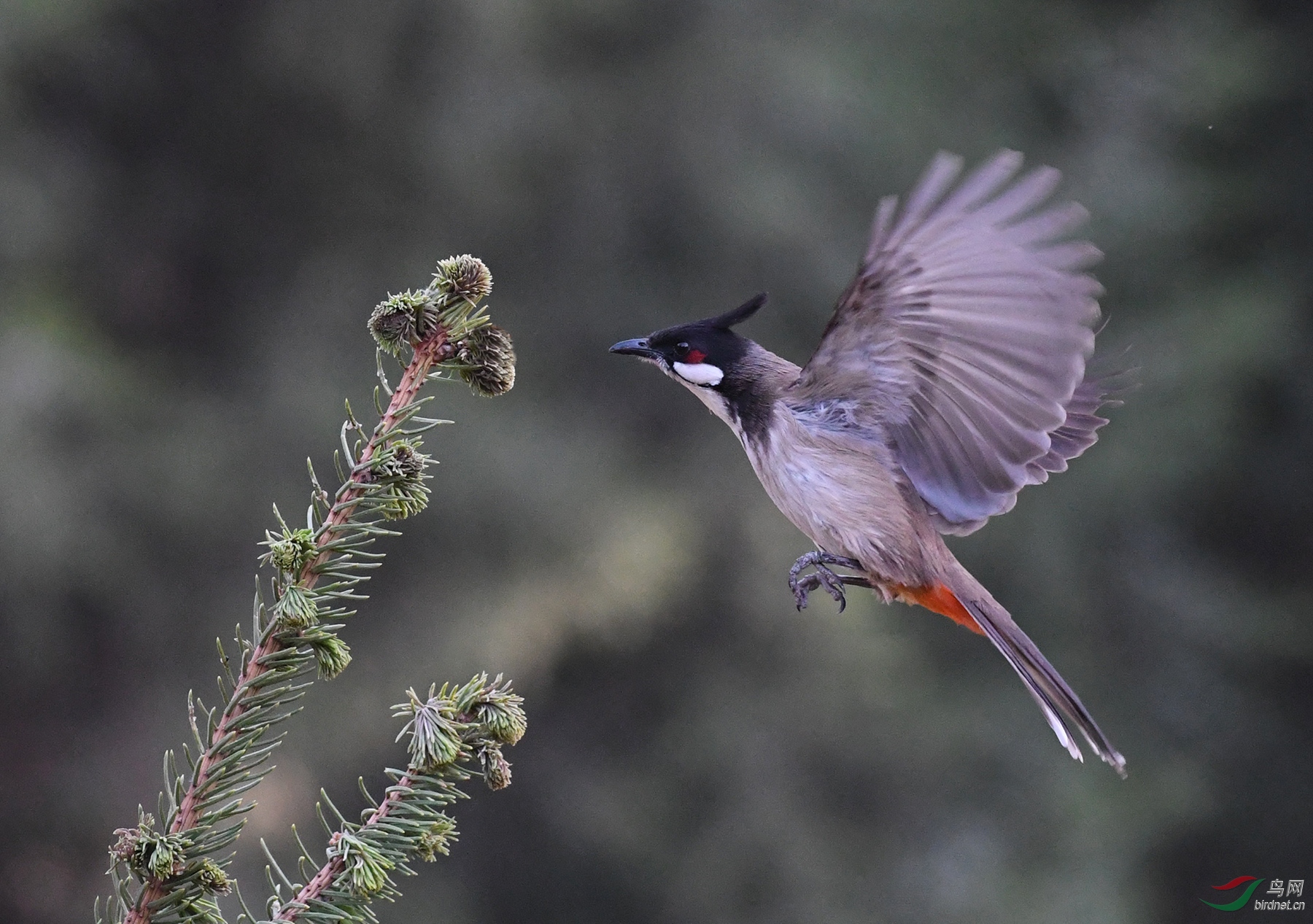 ������Ӱ 173����.jpg