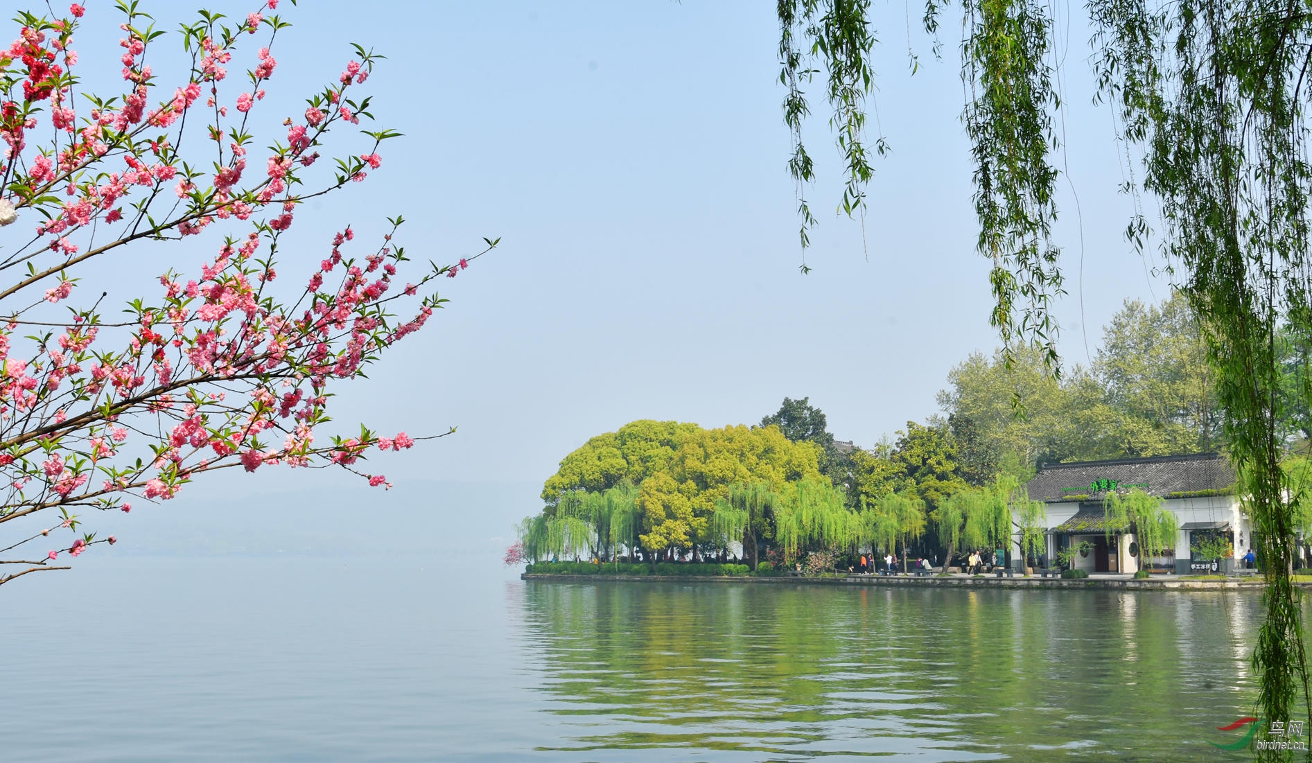 春到西湖