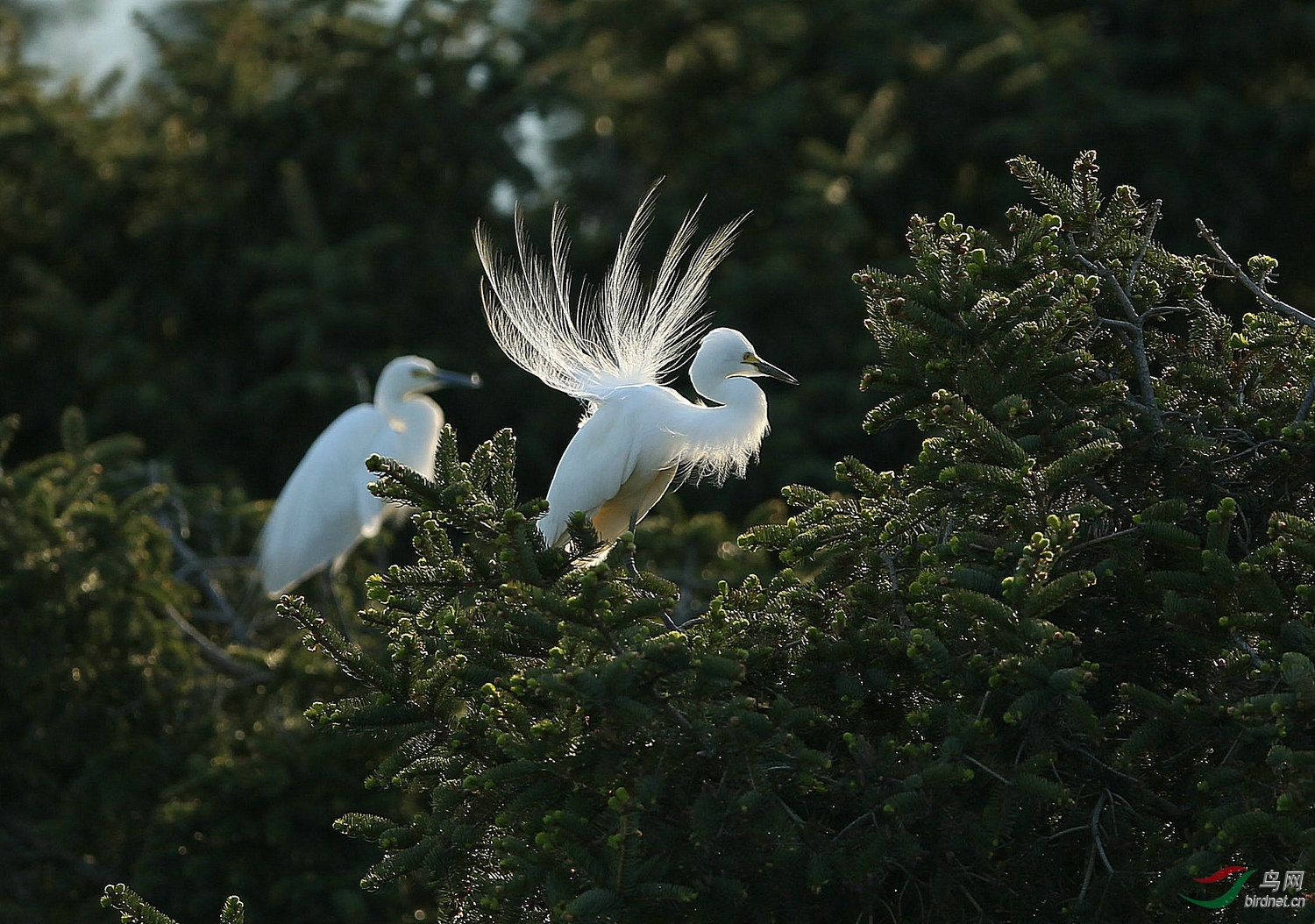 ����A4 7389.jpg