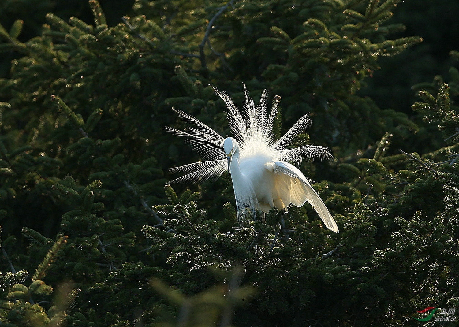 ����A14 7437.jpg