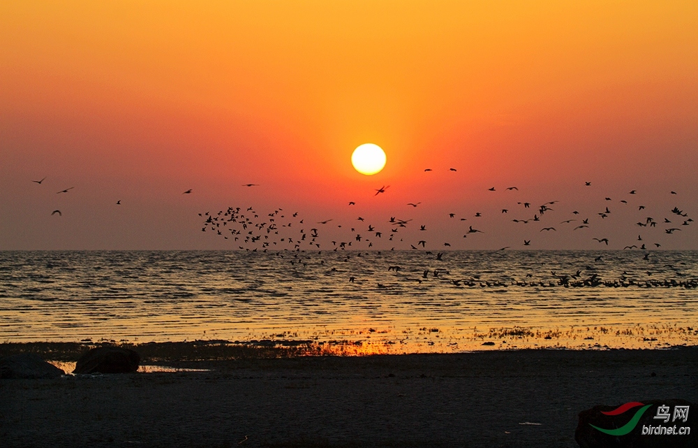 ���ɺ� �뺣��--Ӫ������