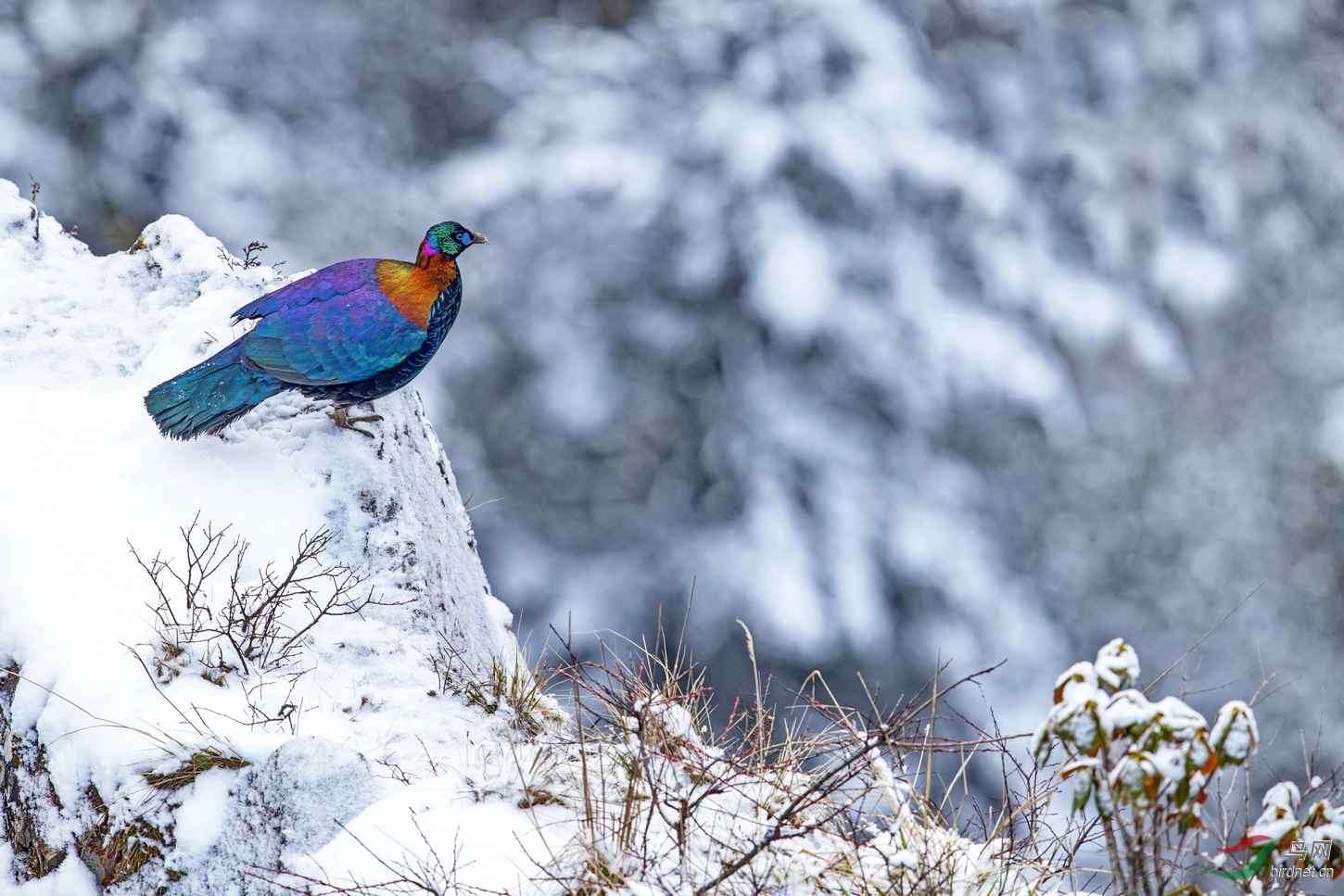 ��β���� (1)01.jpg