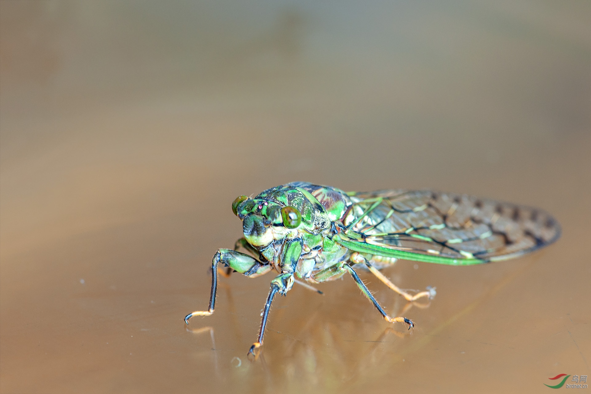 DSC_6641.jpg