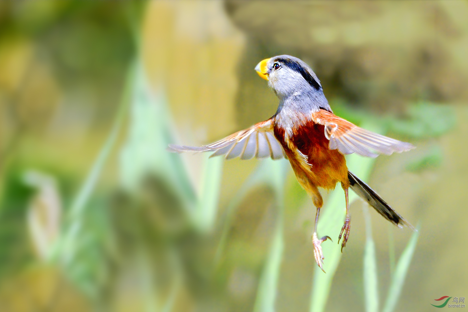 DSC_5315.jpg