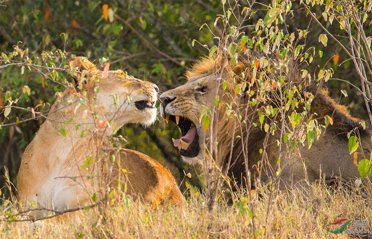 53 (3)_��ͼ��.jpg