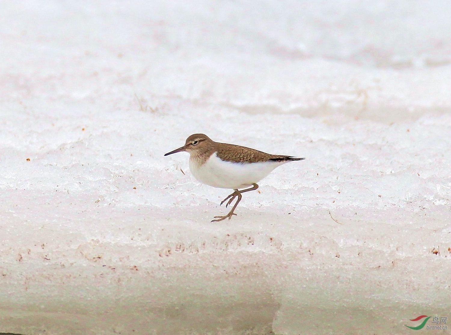 AK2Y8655_1500.jpg