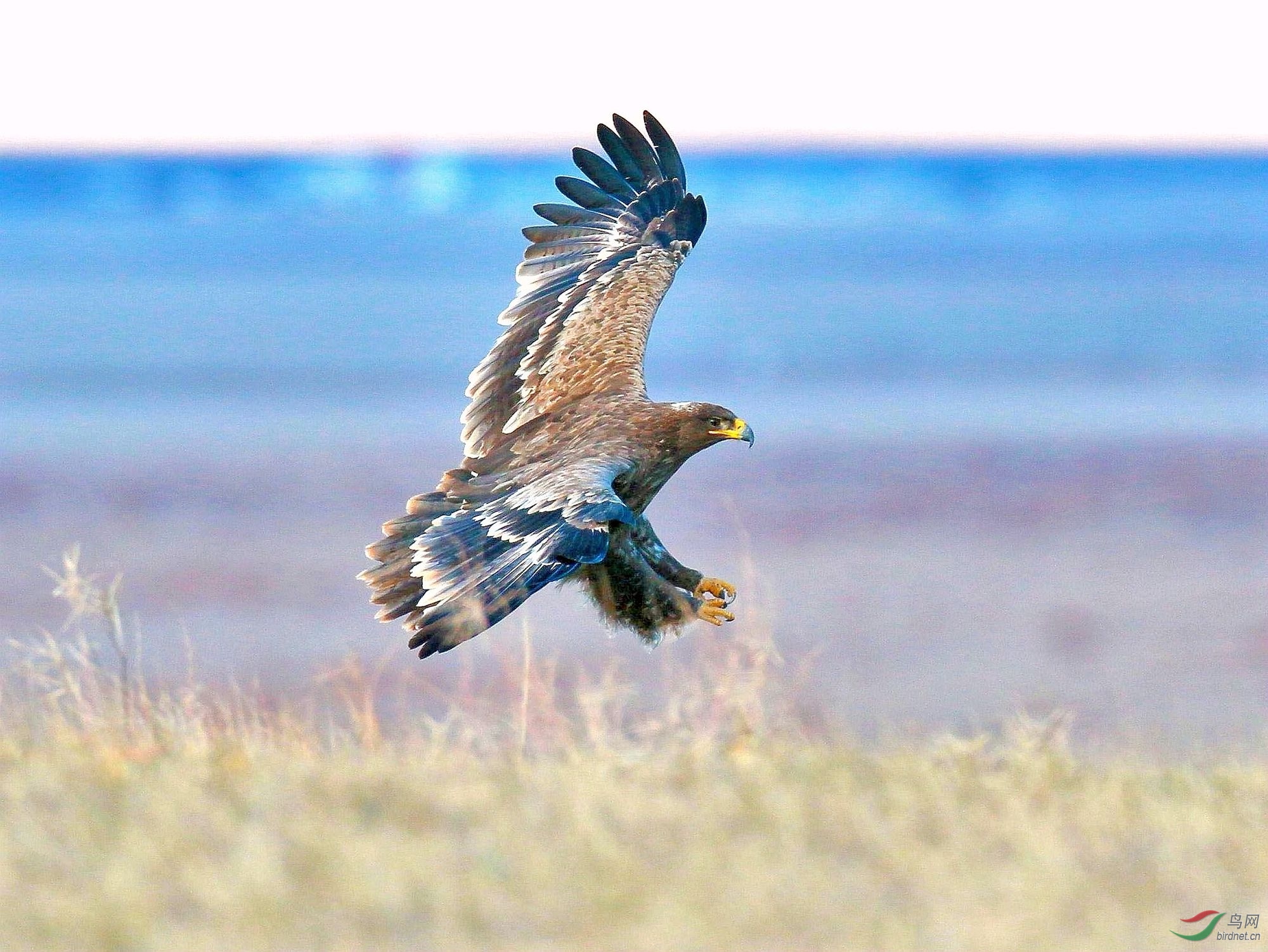 AK2Y2489 2000����_����_����.jpg