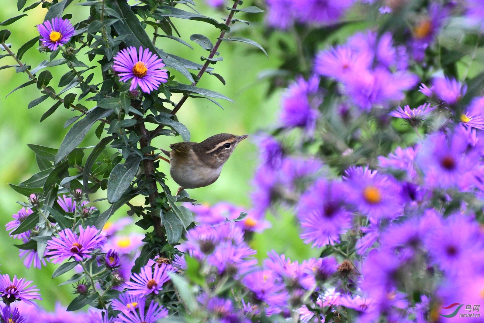 ������ 761.JPG