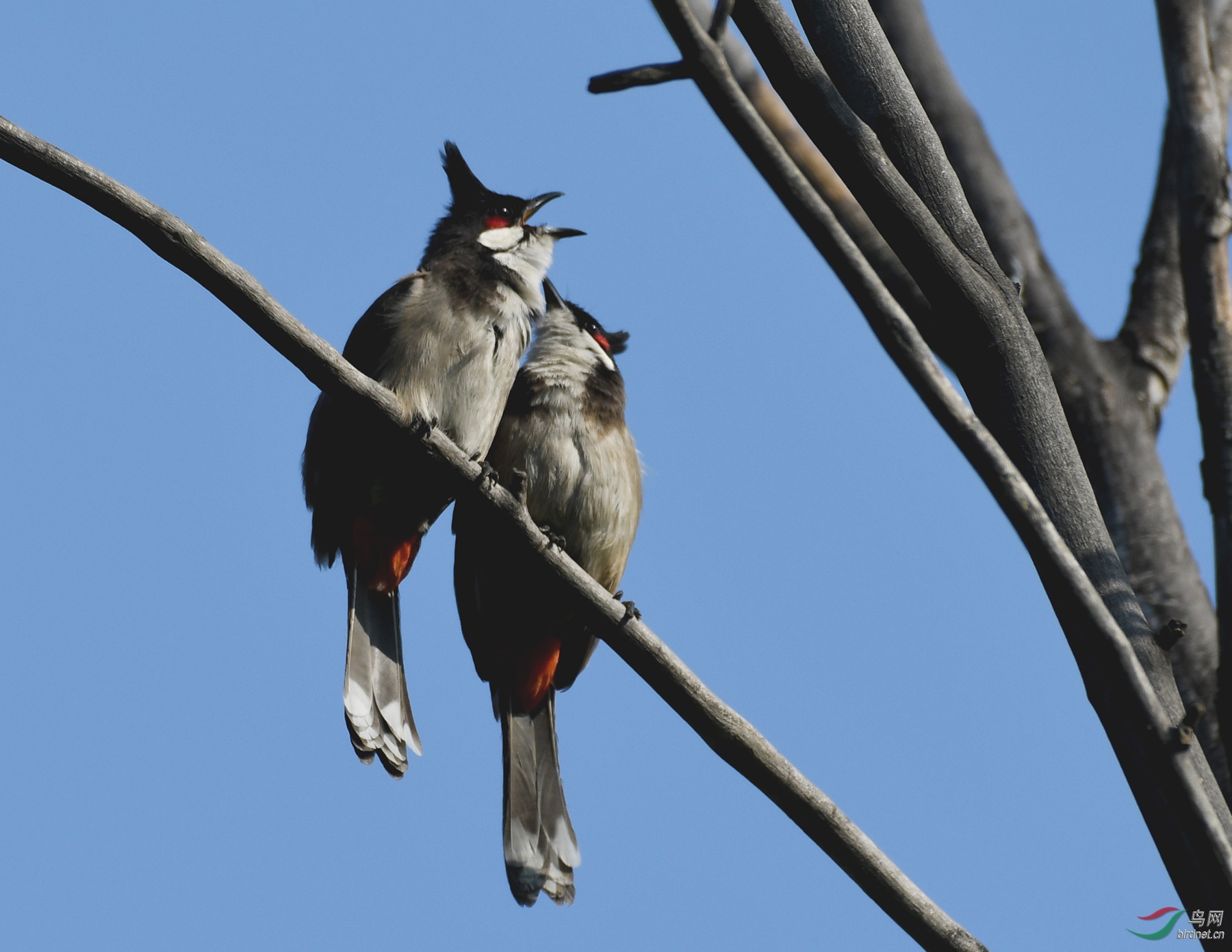 ������Ӱ 945����.jpg