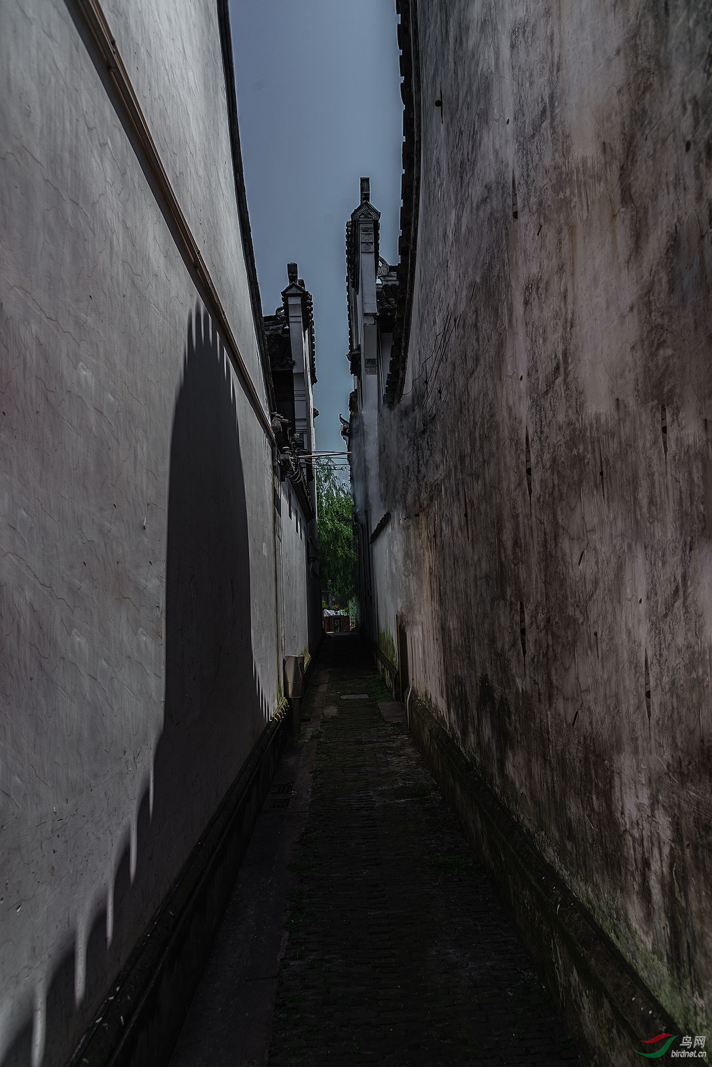 DSC_4773-3.jpg