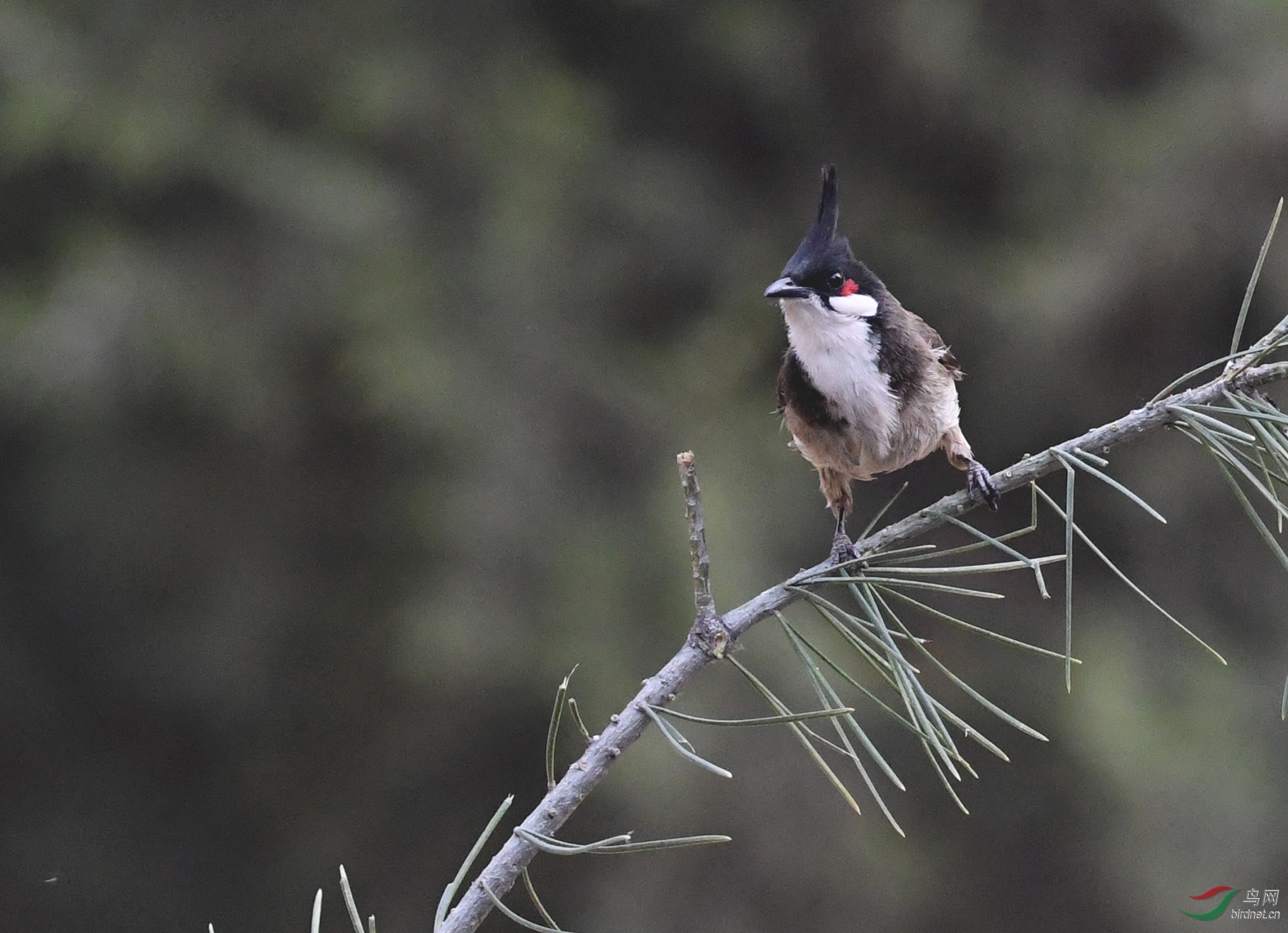 ������Ӱ 719����.jpg