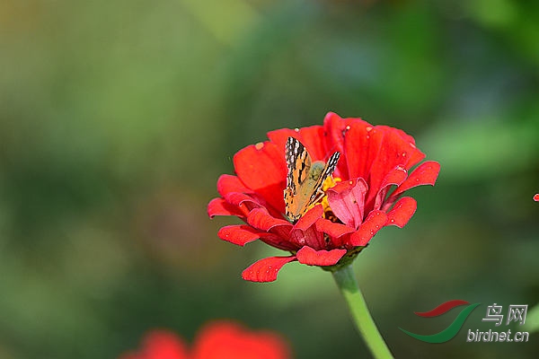 13DSC_1114_����.jpg