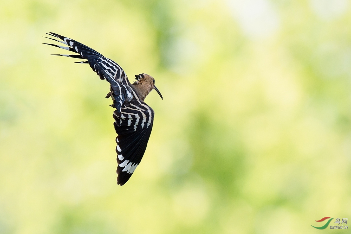 XCG_4694 - ����.jpg