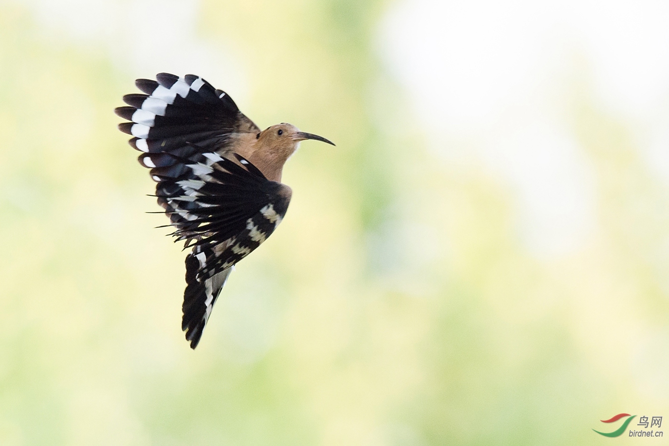 XCG_4919 - ����.jpg