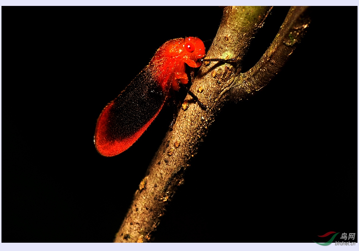 DSC_8076_����_����.jpg