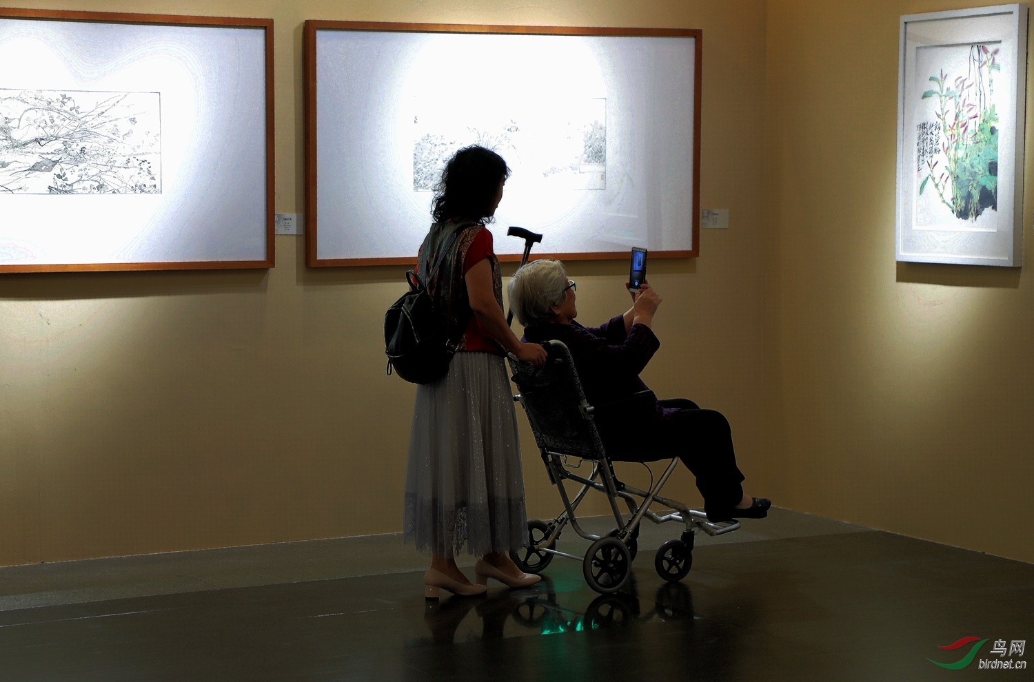 �������迴��չ