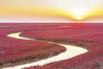 1 (185).JPG
