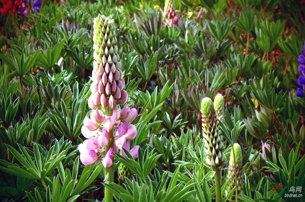 P4282924.jpg