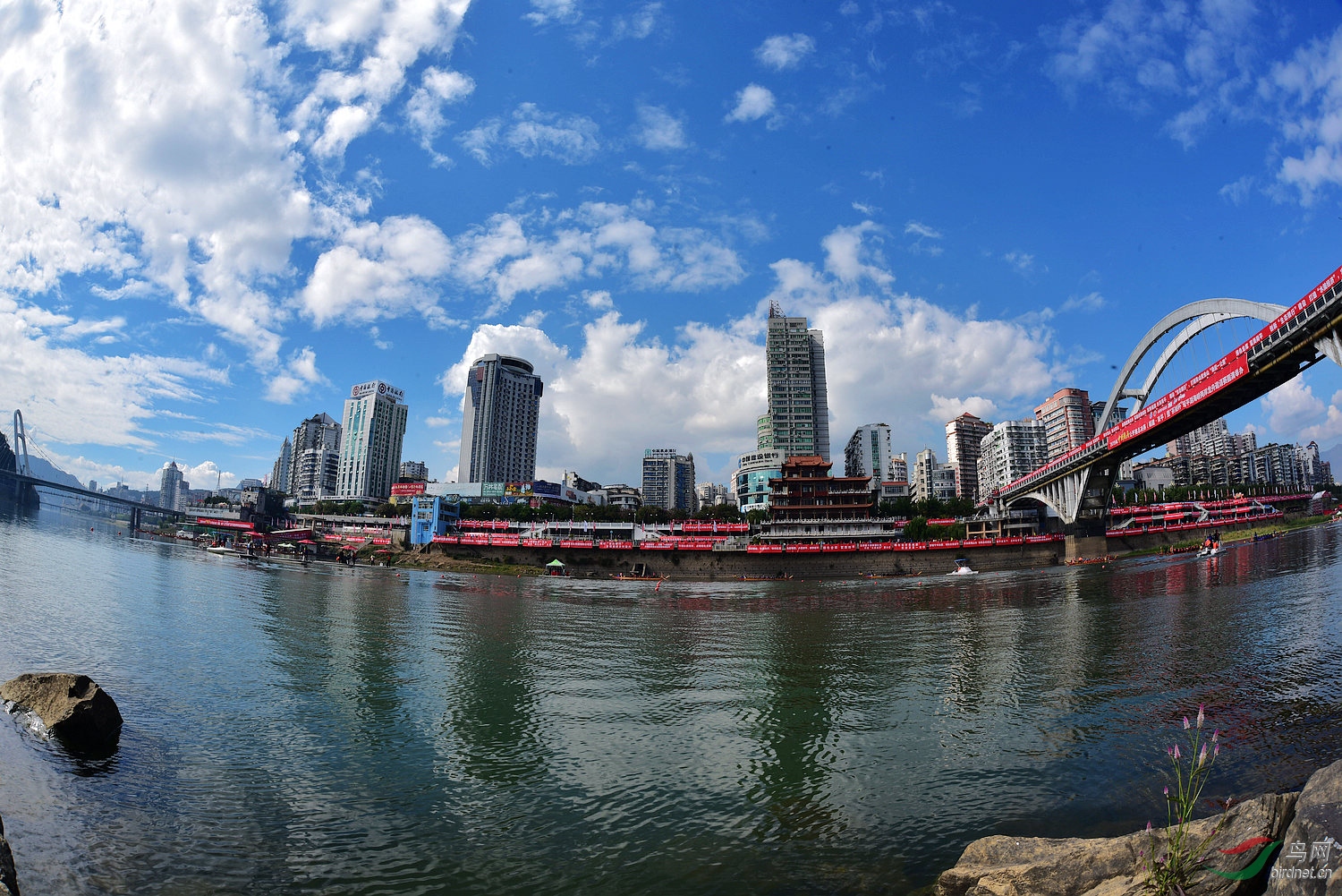 D8I_8762.jpg