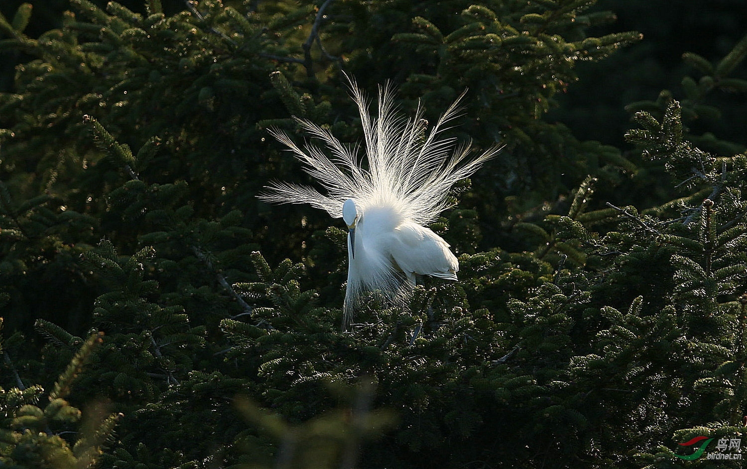 ̨��A11 7431.jpg