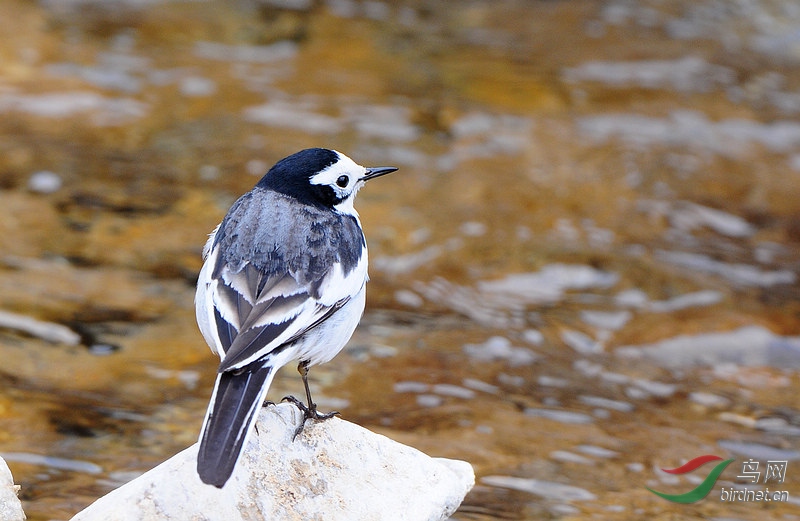 DSC_0104  1.jpg