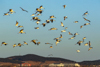 1 (78).JPG