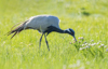 1 (30).JPG