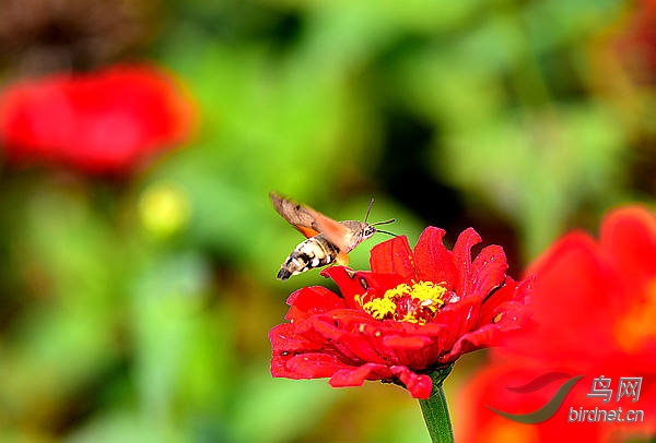 90.jpg