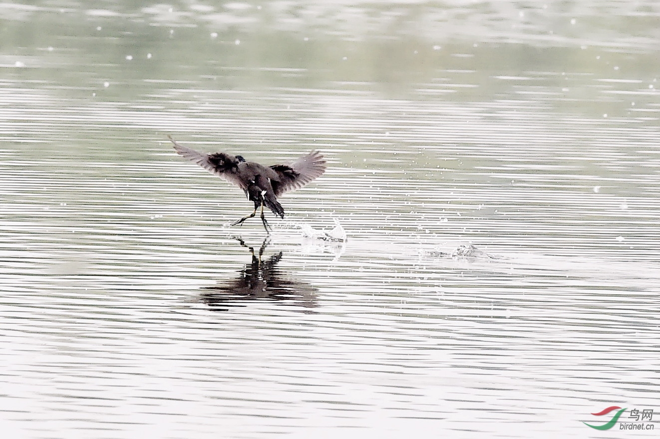 DSC_6663.JPG