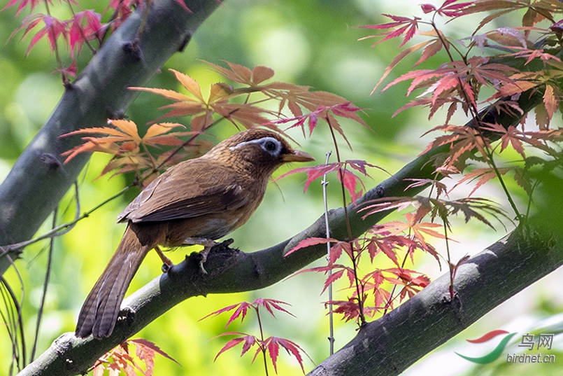 �������ˣ���������