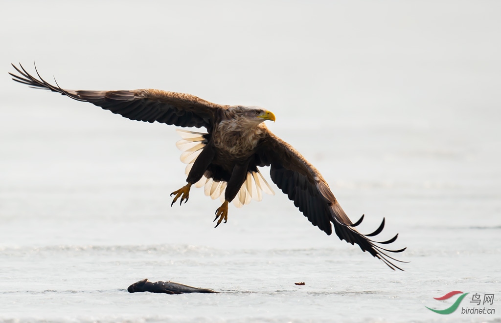 DSC_4536-0.jpg