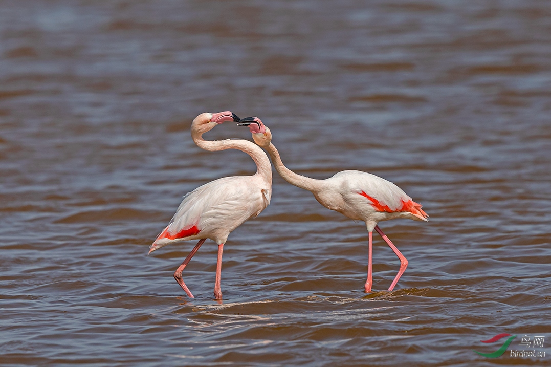 ˣһ������