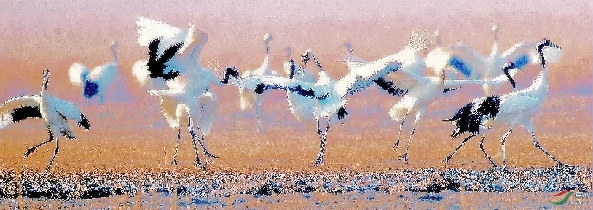 AK2Y6605_2000_2.jpg