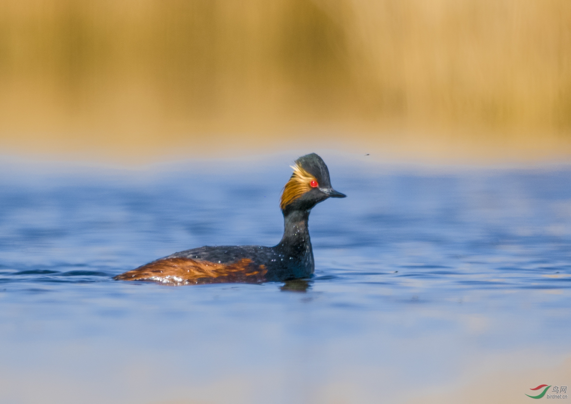 ף�῵����Խ��Խ��