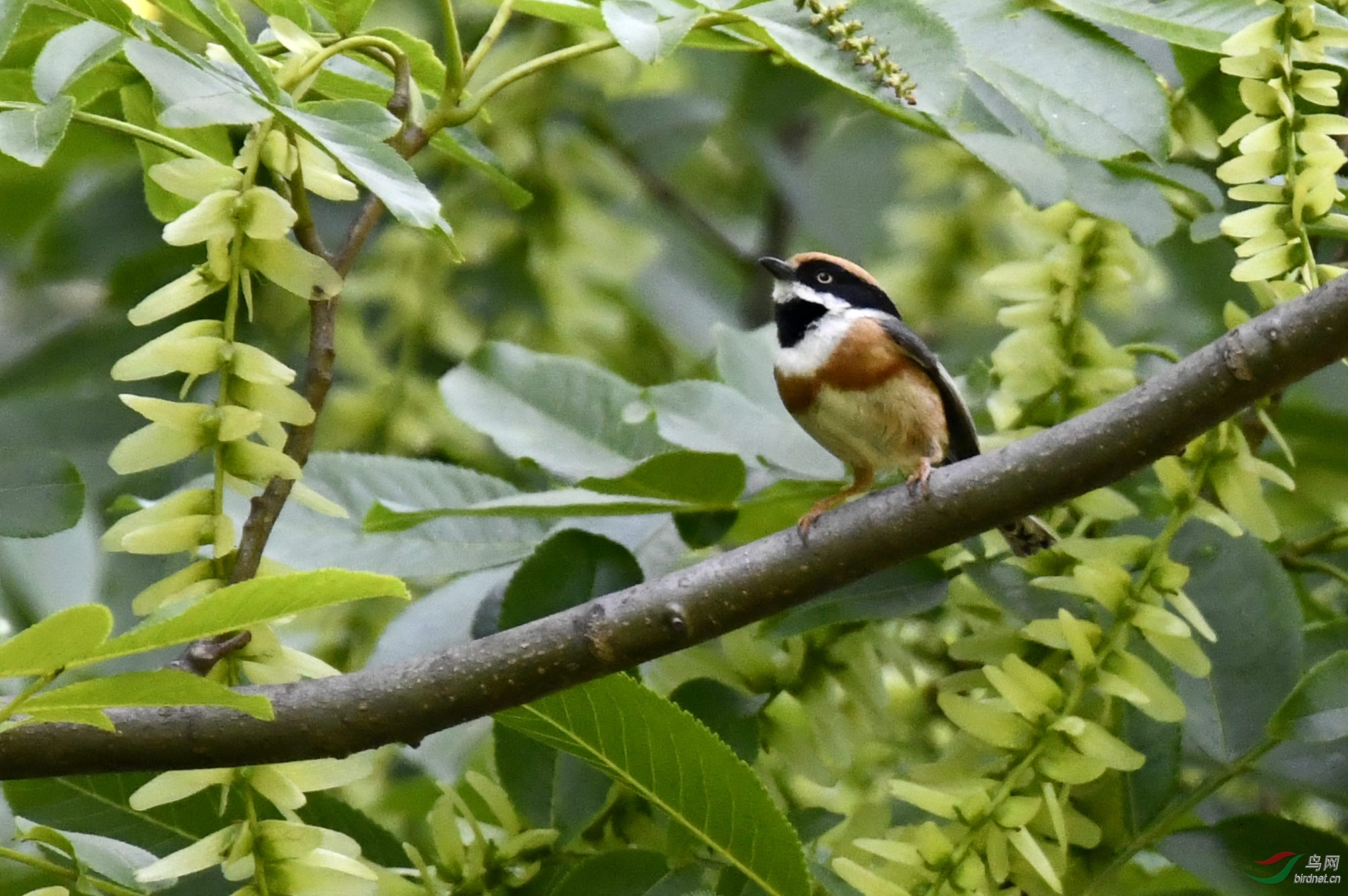 _DSC5327_����.jpg