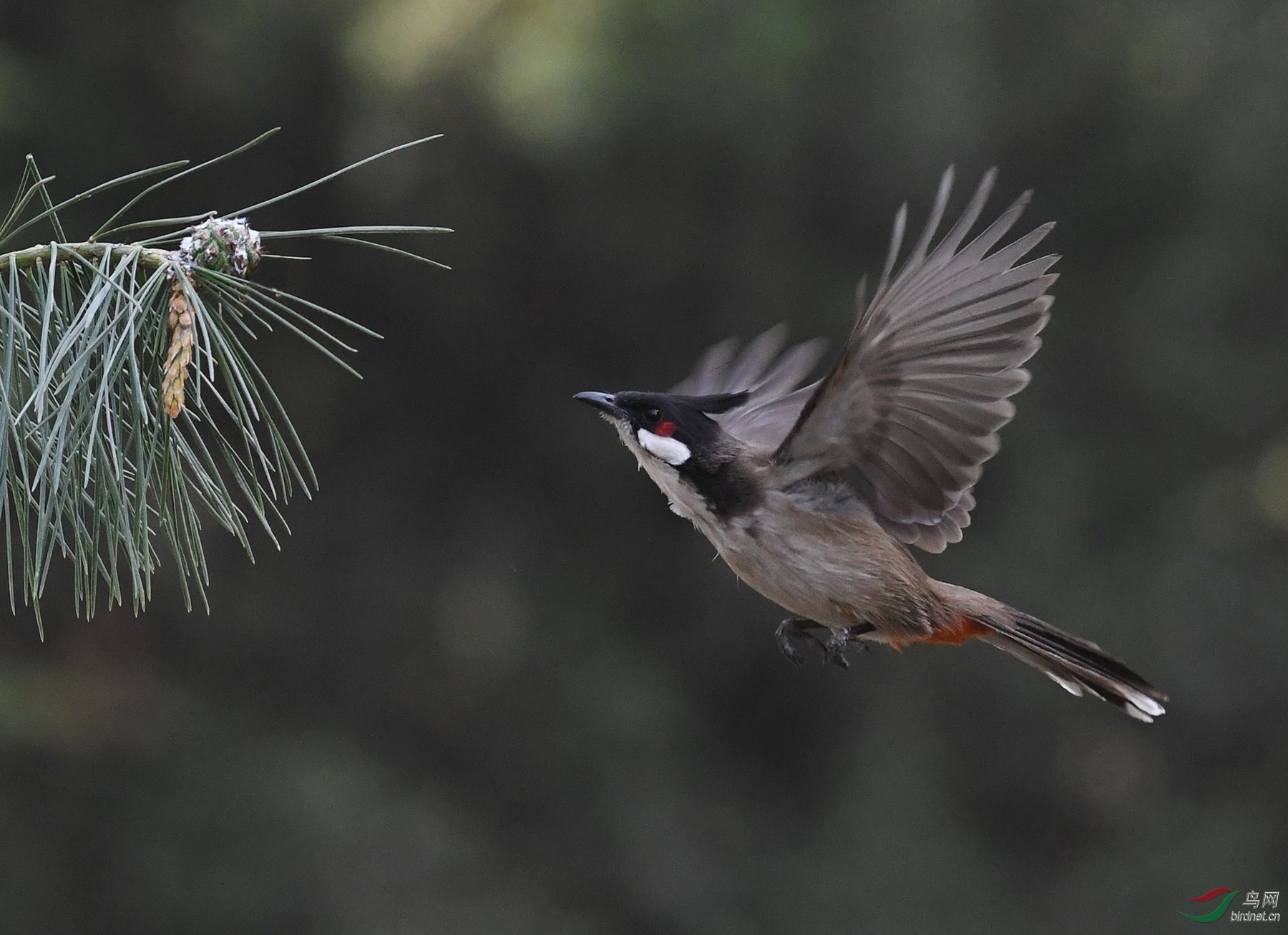 ������Ӱ 1722����.jpg