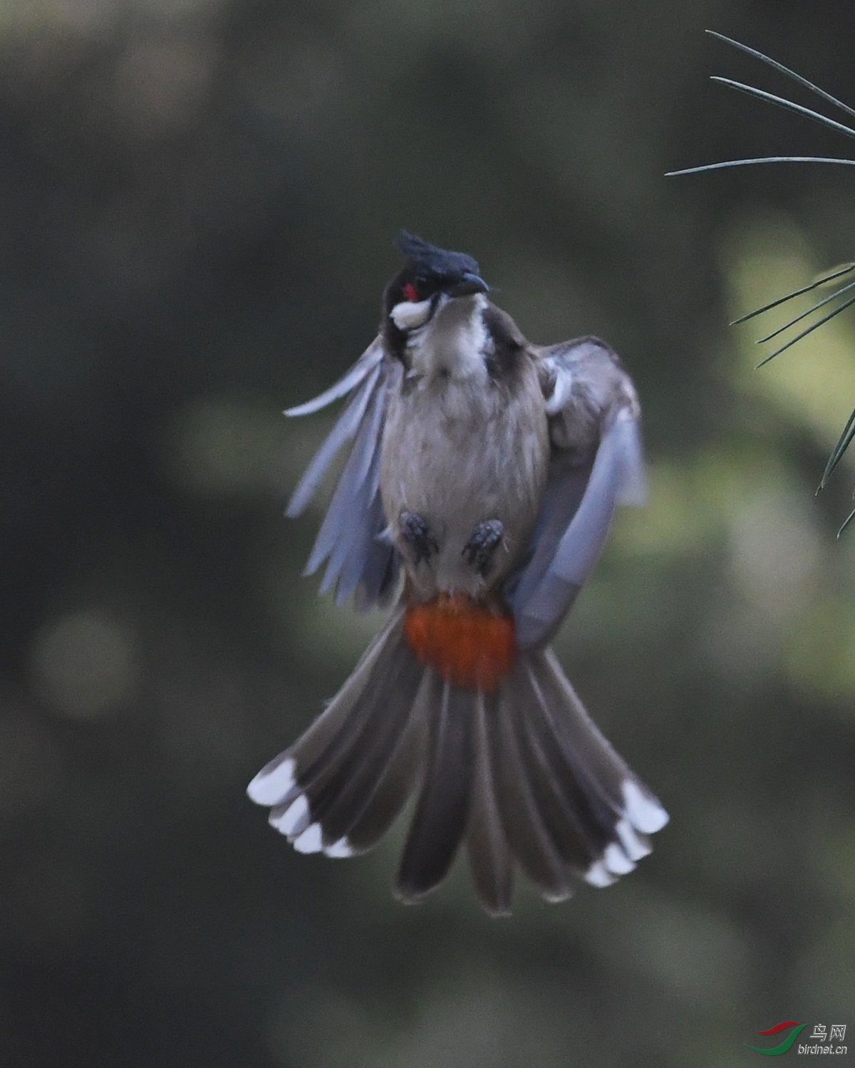 ������Ӱ 1669����.jpg