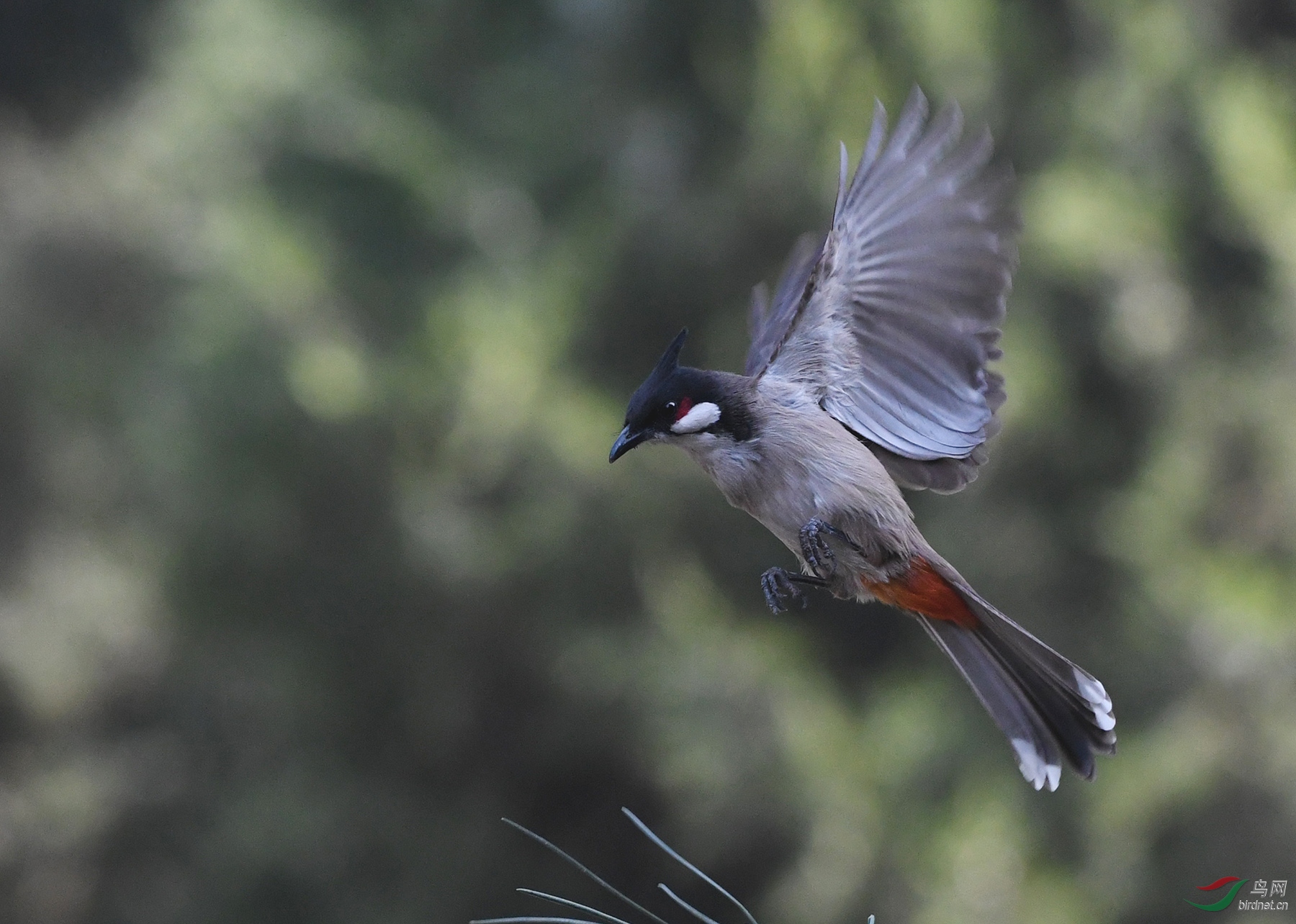 ������Ӱ 1687����.jpg