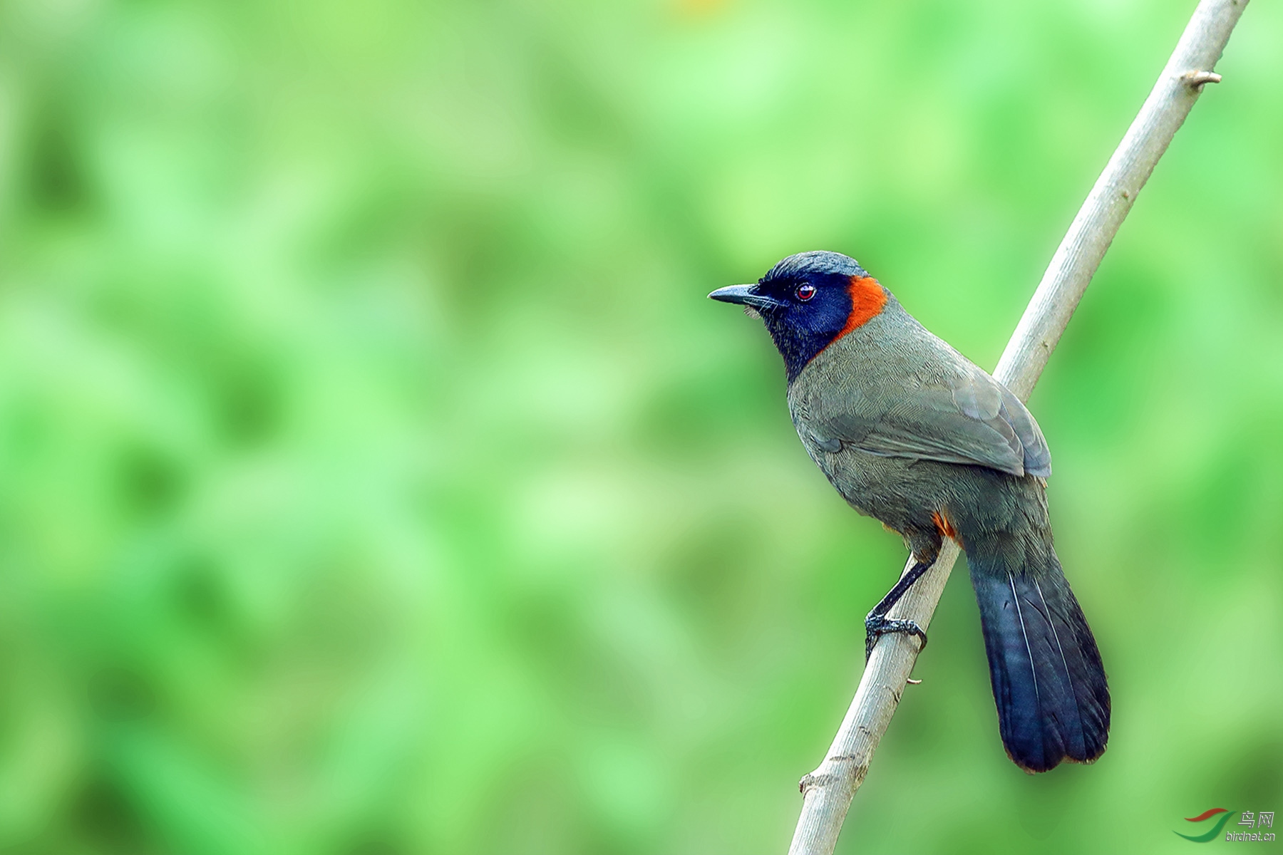 �������� (2).jpg