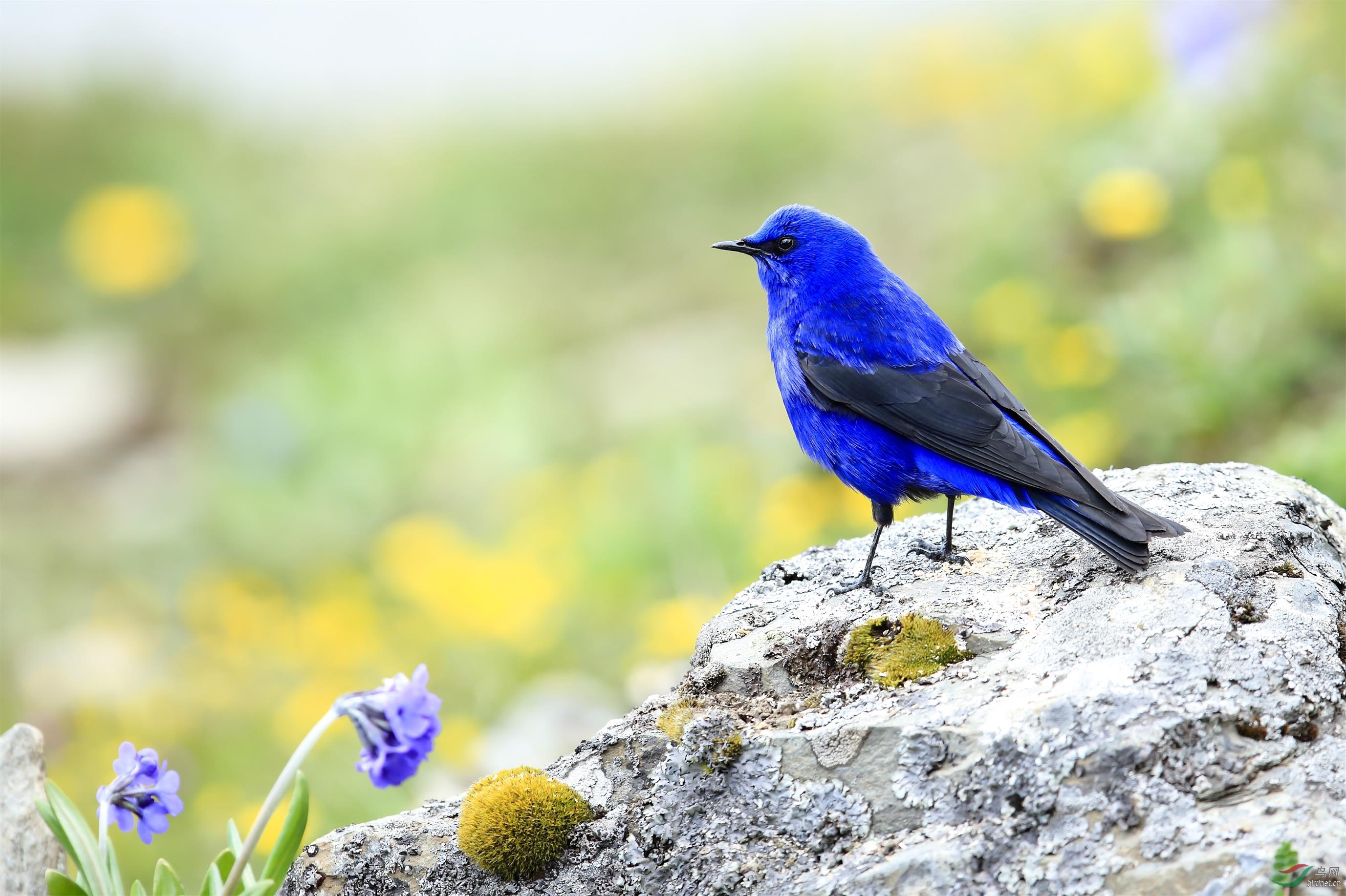 AC6Q6911.JPG