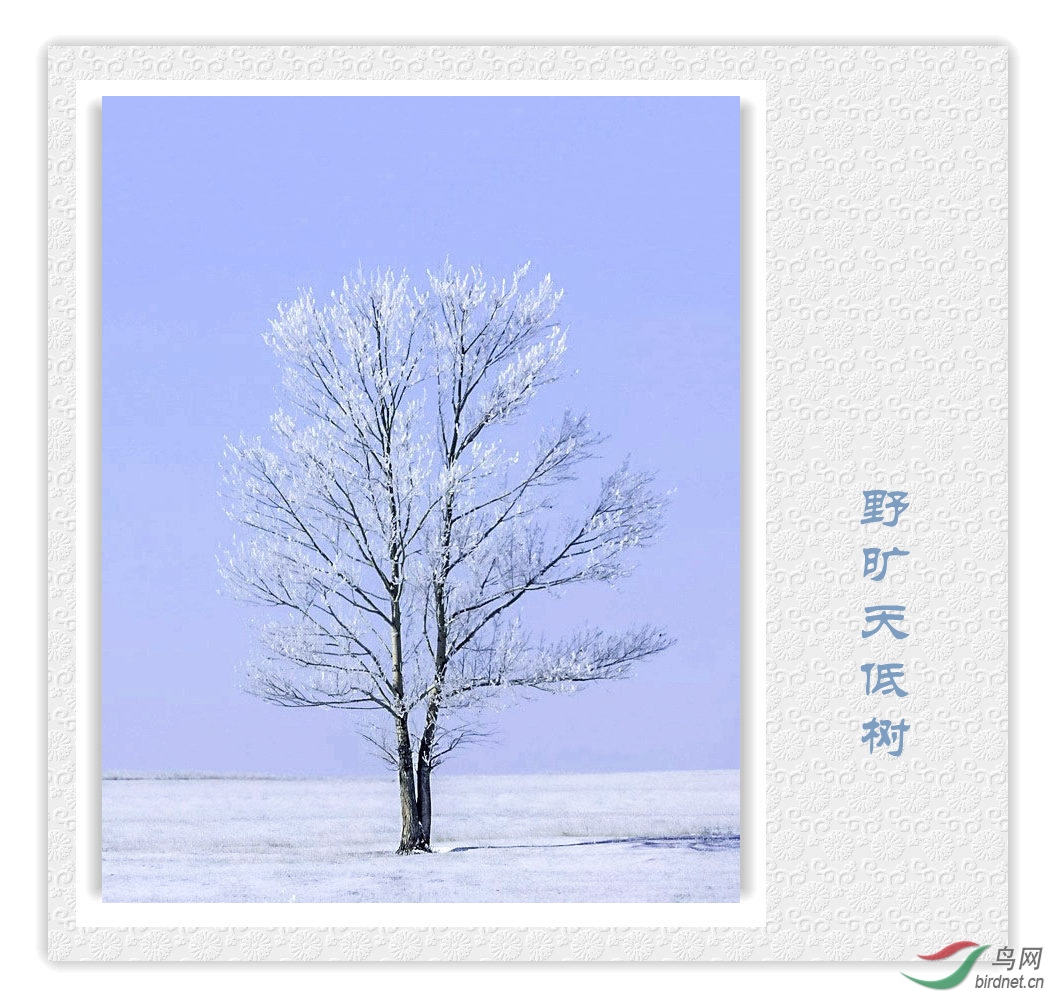 DSC_0035 (2)_����_����.jpg