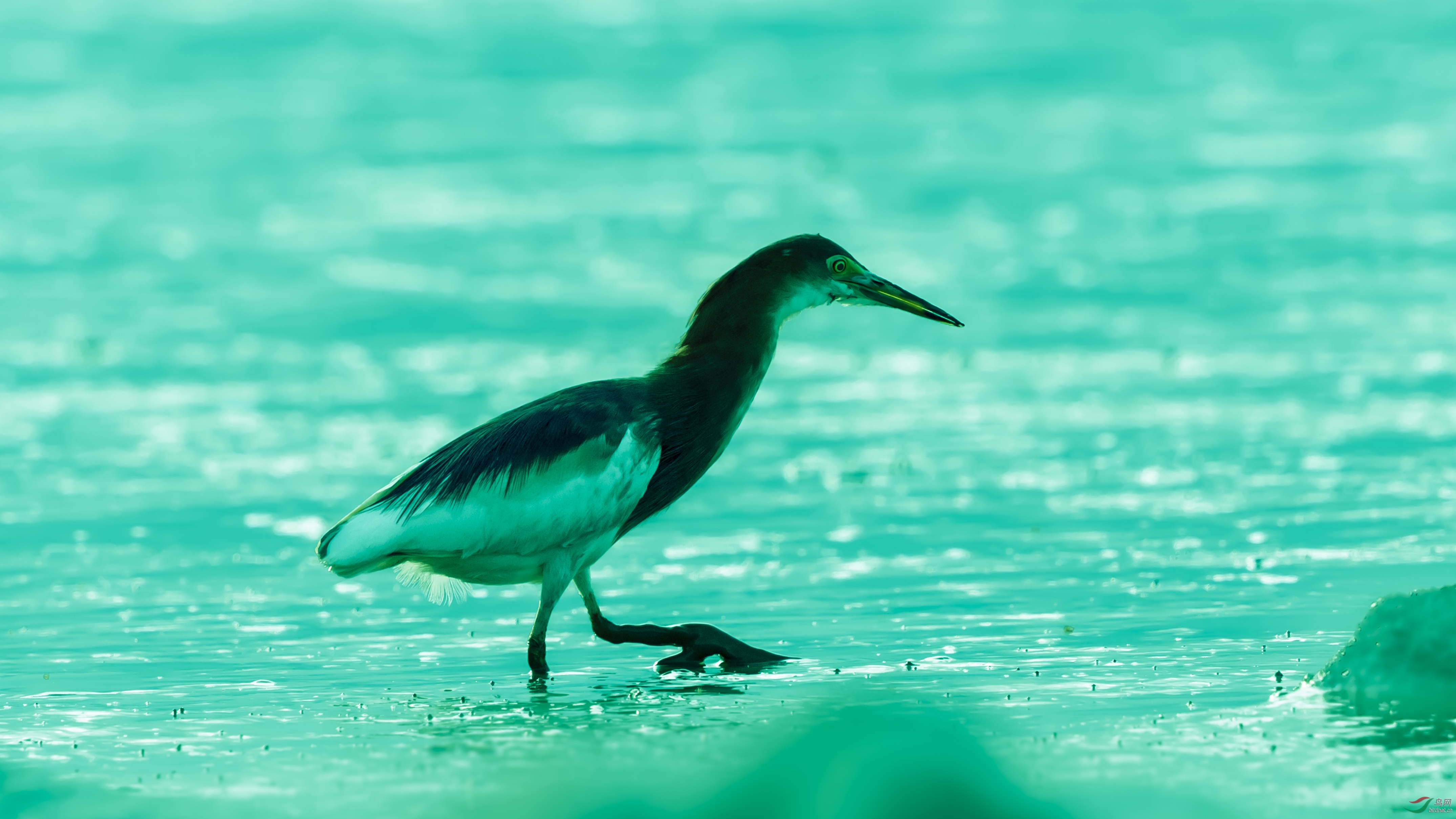 DSC_6132_1.jpg