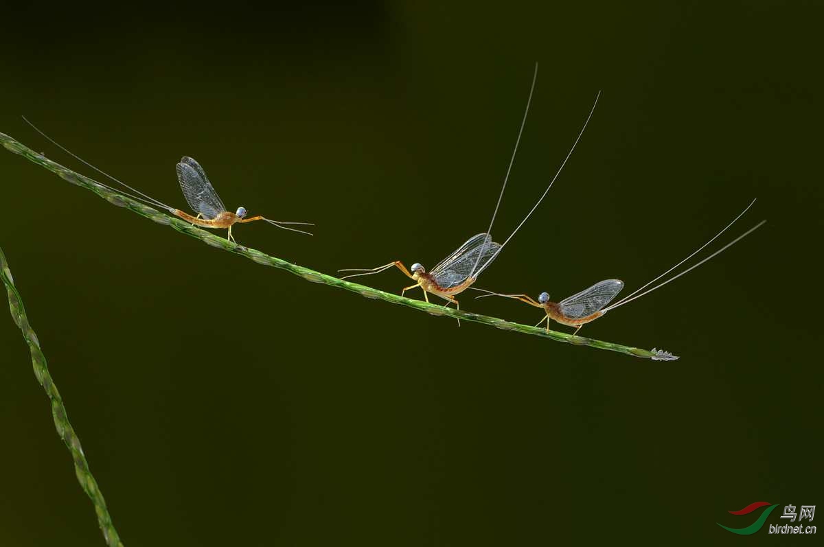 DSC_5773_����.jpg
