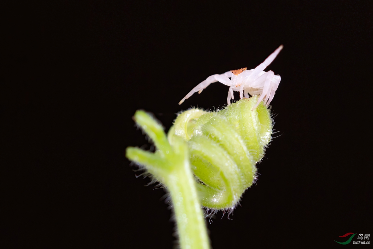 _DSC6288_1-edit (1)_1.jpg