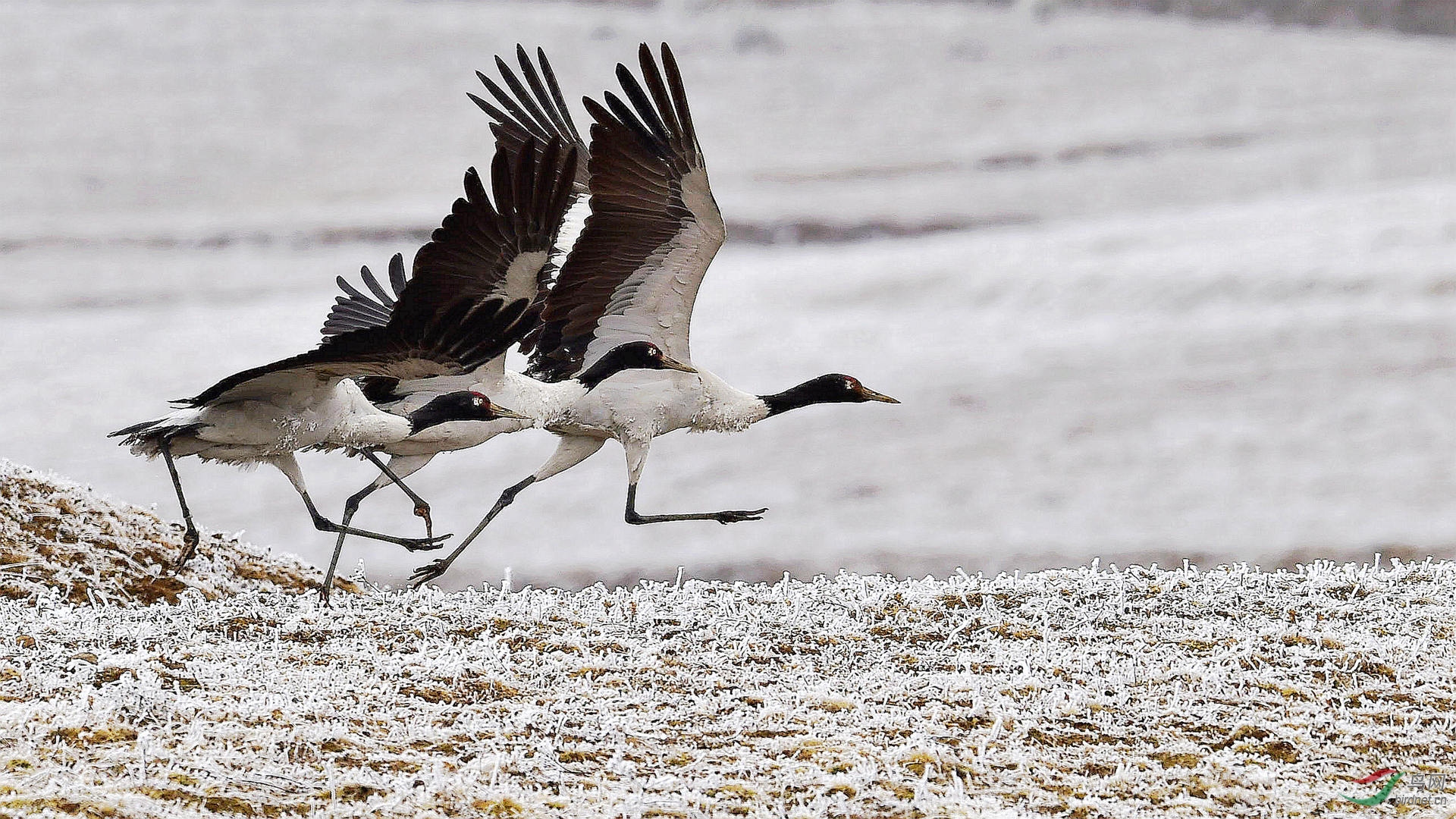 ����  �ھ���